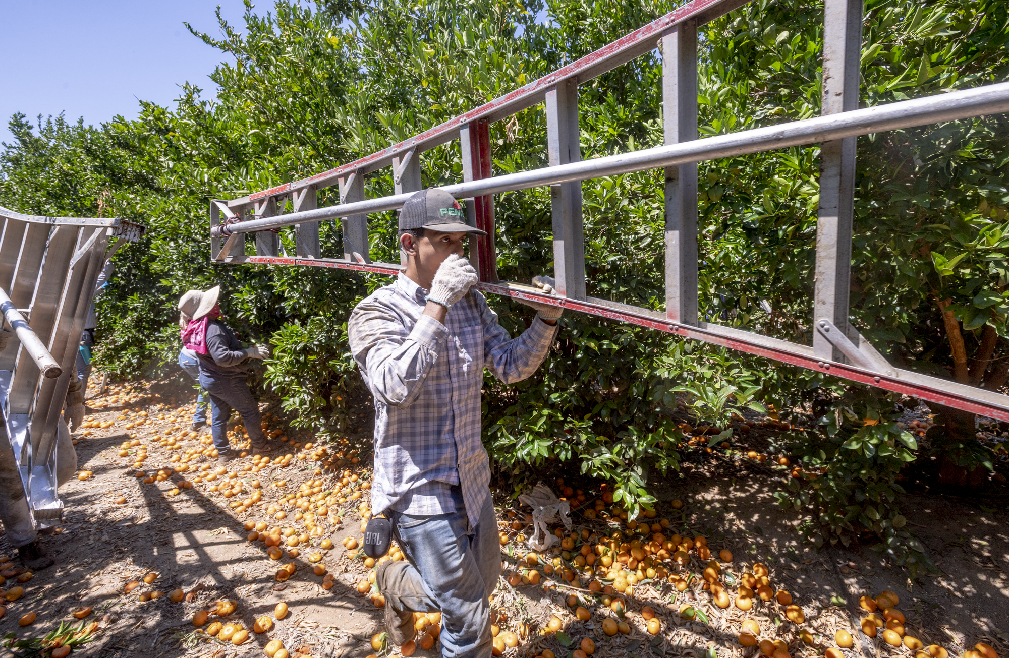 Colorado farmworkers labor rights