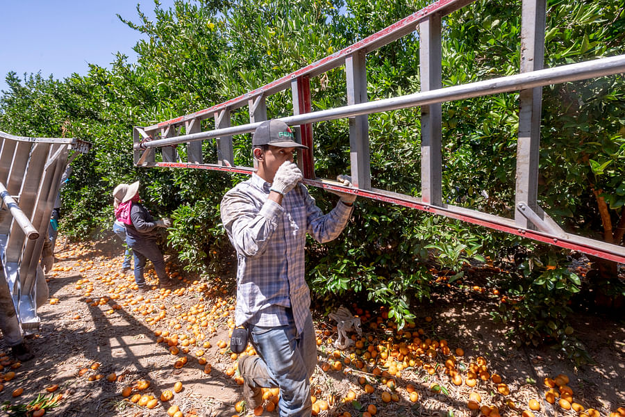Colorado farmworkers labor rights